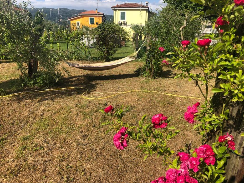 La Casa Di Ulivi Villa Piano di Follo Екстериор снимка