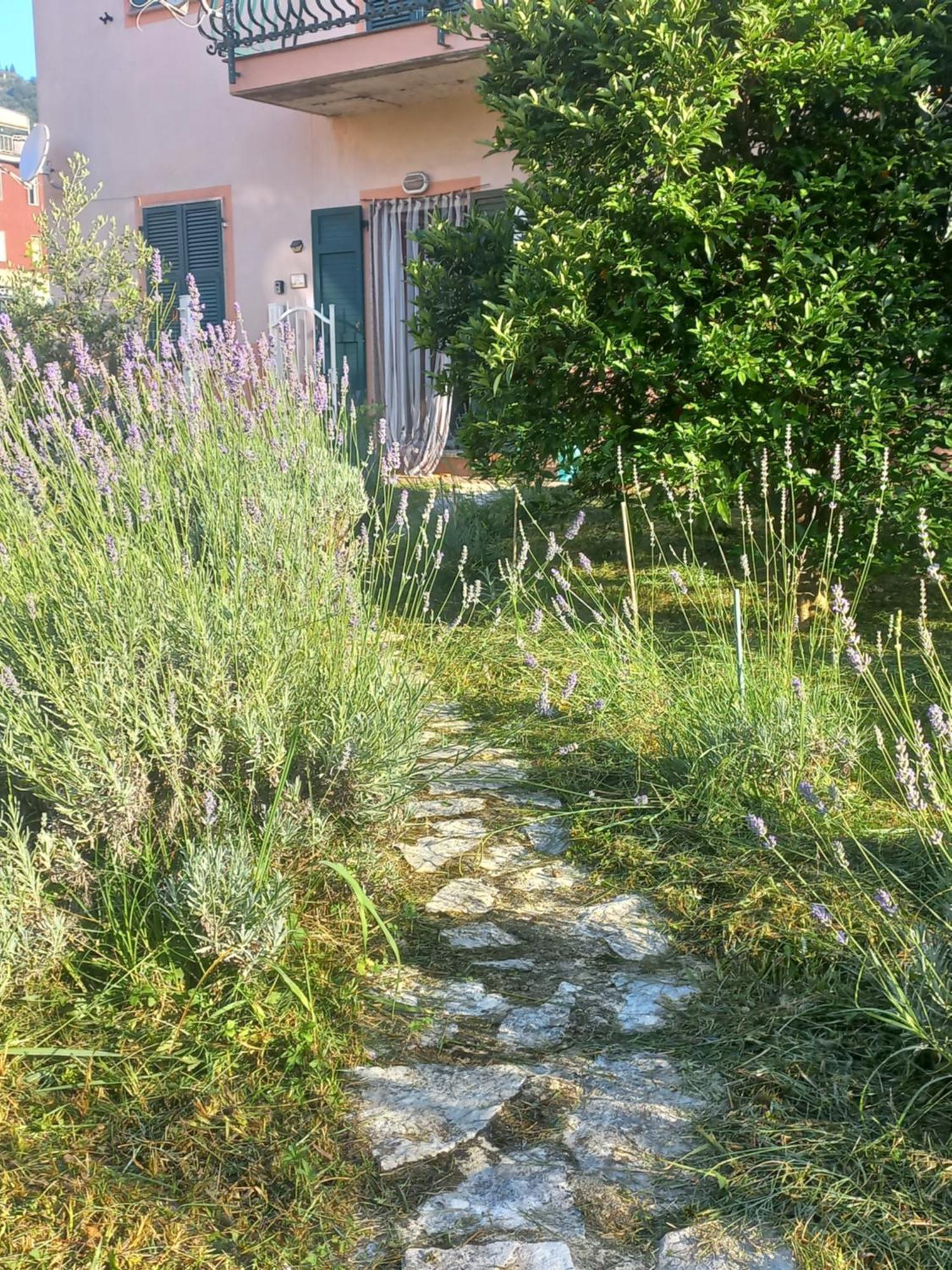 La Casa Di Ulivi Villa Piano di Follo Екстериор снимка
